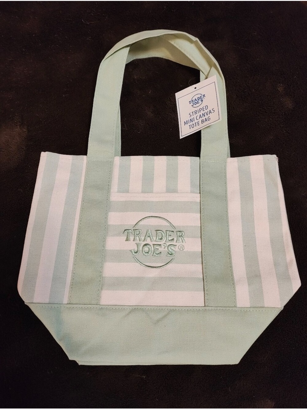 Mint & White Striped Canvas Mini Tote Bag